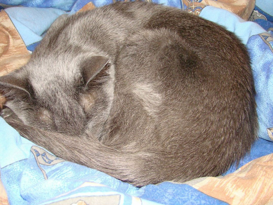 Илья Воробьев фотография #50