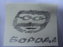 Фотография Бородачева Владимира