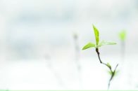 Фотография Шулубиной Лены