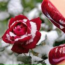 Галя Телендій фотография #39 (источник - https://vk.com/id161932782)