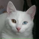 Фотография Борзенко Даниила