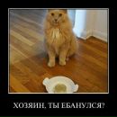Діма Староверський фотография #23 (источник - https://vk.com/id157273515)