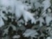 Іван Лемішка фотография #13 (источник - https://vk.com/id125814177)