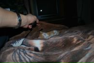 Андрей Рыбкин фотография #22 (источник - https://vk.com/id2490301)