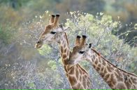 Фотография Воронина Владимира