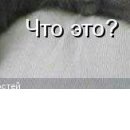 Вова Іщенко фотография #15 (источник - https://vk.com/id152020108)