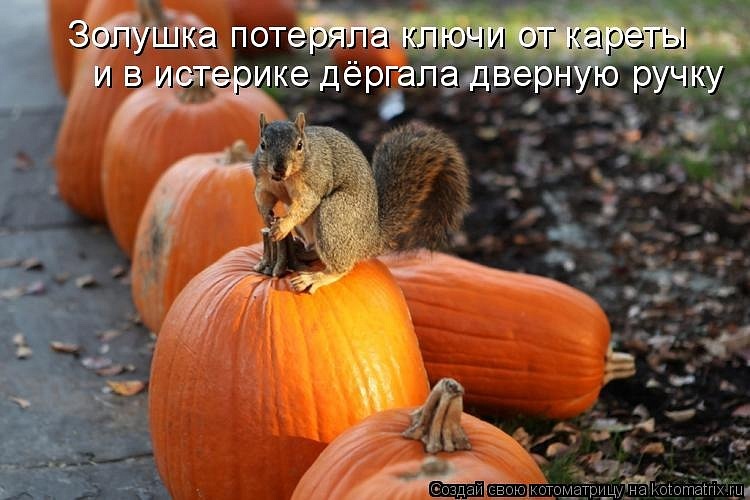 Ирина Левченко фотография #46