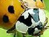 Іра Рак фотография #9 (источник - https://vk.com/id58567406)