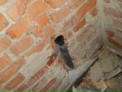 Мішка Марчук фотография #46 (источник - https://vk.com/id67584611)