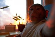 Фотография Терещенко Игната