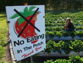 Татьяна Колесниченко фотография #31 (источник - https://vk.com/id9764440)