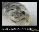 Ігор Штимак фотография #9 (источник - https://vk.com/id7899233)
