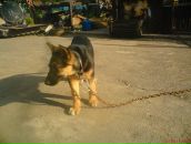 Олександр Калінчук фотография #46 (источник - https://vk.com/id30590655)