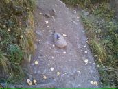 Дмитрий Неруш фотография #21 (источник - https://vk.com/id1175015)