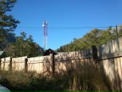 Дмитрий Неруш фотография #16 (источник - https://vk.com/id1175015)