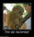 Фотография Сенченко Владимира