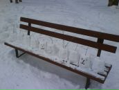 Фотография Никитиной Анны