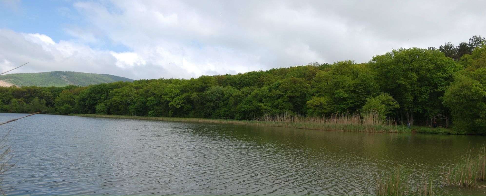 Михаил Воробьёв фотография #18