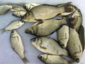 Сергей Зыков фотография #30 (источник - https://vk.com/id6914133)