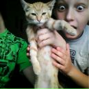 Славік Давиденко фотография #20 (источник - https://vk.com/id64687297)