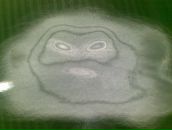 Фотография Плотникова Константина