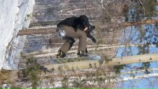 Фотография Стрельникова Ивана