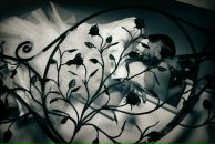 Фотография Obrezha Valentina