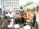 Екатерина Кумпан фотография #42 (источник - https://vk.com/id540149)