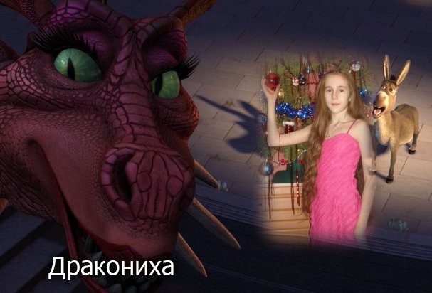 Софья Диденко фотография #19