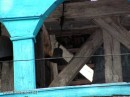 Альонка Іванюк фотография #35 (источник - https://vk.com/id66031893)