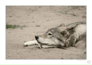 Игорь Бирюк фотография #21 (источник - https://vk.com/id1307750)