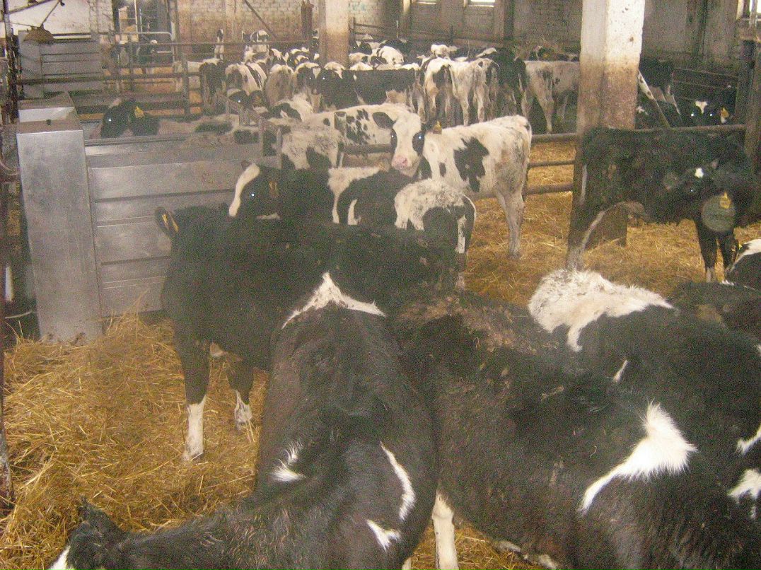 Иван Плотников фотография #44