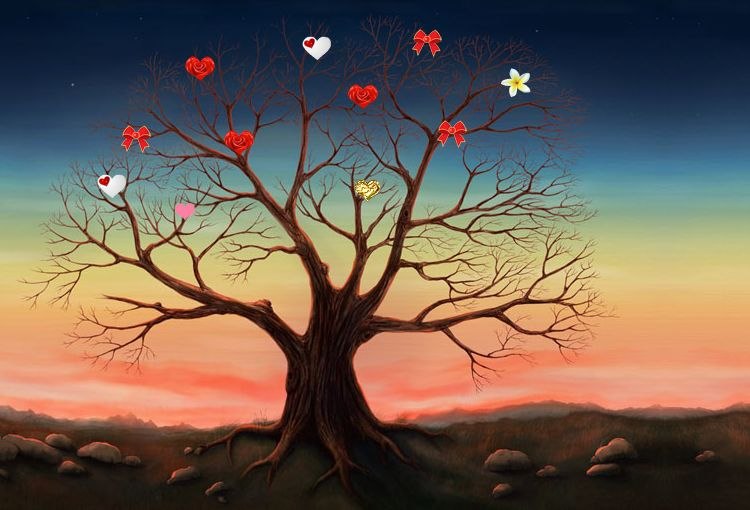 Василиса Токарева фотография #23