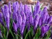 Фотография Канбековой Лианы