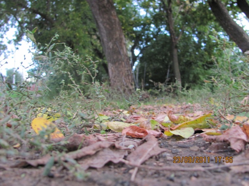 Ольга С фотография #17