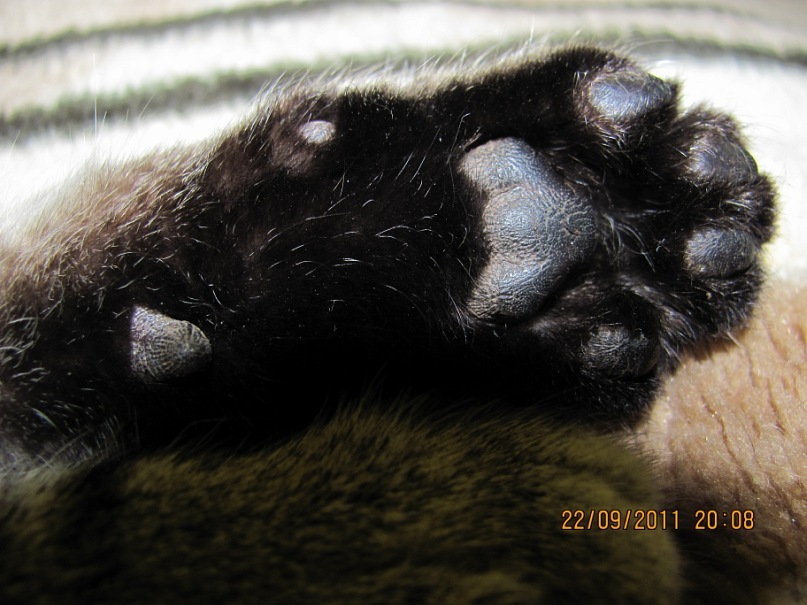 Ольга С фотография #25