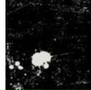 Міша Пацула фотография #29 (источник - https://vk.com/id66335644)