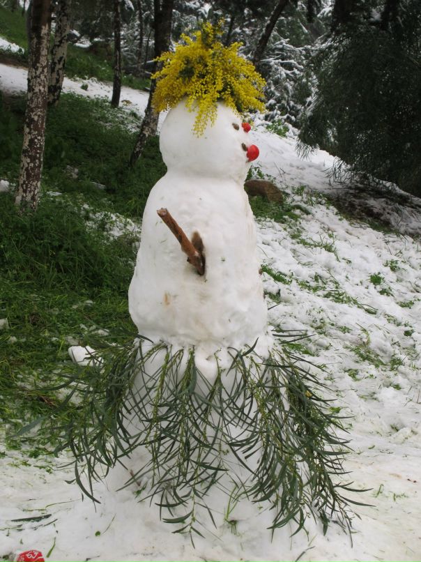 Иван Иванов фотография #25