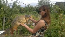 Фотография Зверев Артём