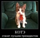 Фотография Кошакова Тимура