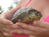 Фотография Коржов Валерий