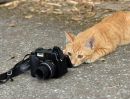 Фотография Надежда Хапеева