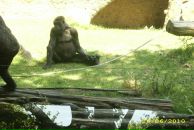 Іван Спас фотография #48 (источник - https://vk.com/id103149214)