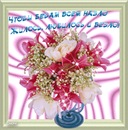 Світлана Шевель фотография #25 (источник - https://vk.com/id138926234)