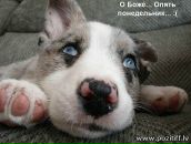 Фотография Young Lesik