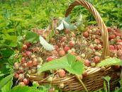 Фотография Огнётовой Ольги