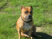 Джек Ценкін фотография #2 (источник - https://vk.com/id100363511)