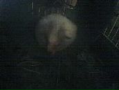 Вікуся Долгій фотография #31 (источник - https://vk.com/id95943364)