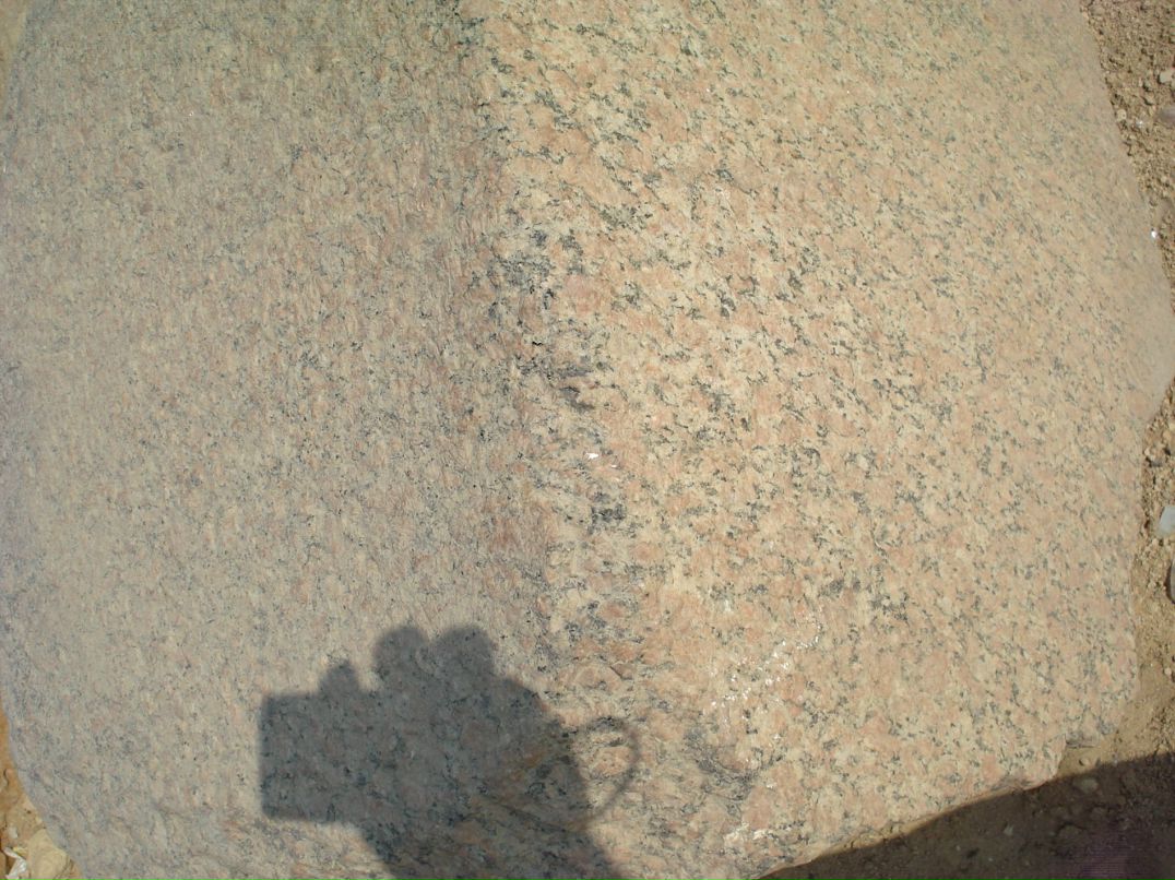 Дмитрий Лаёв фотография #20