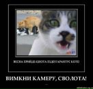 Віталій Хлібун фотография #15 (источник - https://vk.com/id18666309)